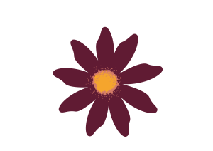 Teleia Estudi Creatiu