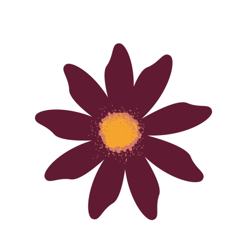 Teleia Estudi Creatiu